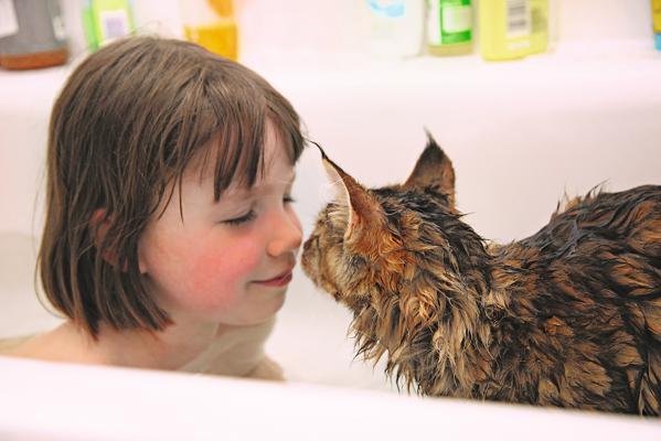 (c) Arabella Carter-Johnson,2016