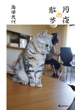 『月夜の散歩』角田光代さんのほっこり笑顔になる日常を綴った人気エッセイ集、5年ぶり第三弾