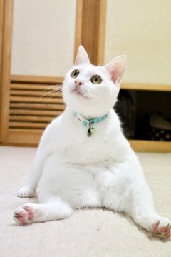 あの美人女優にそっくり!?