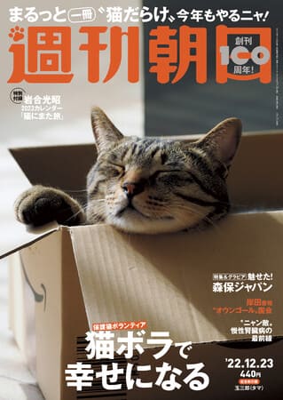 『週刊朝日』12月23日号　 恒例「まるっと一冊猫まみれ」