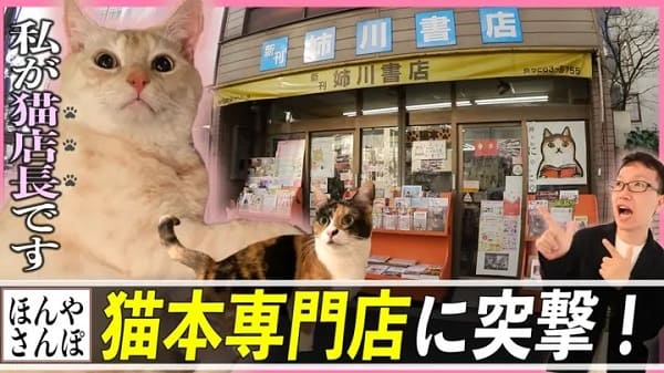 「出版区」が猫本専門書店「姉川書店」の取材動画を公開